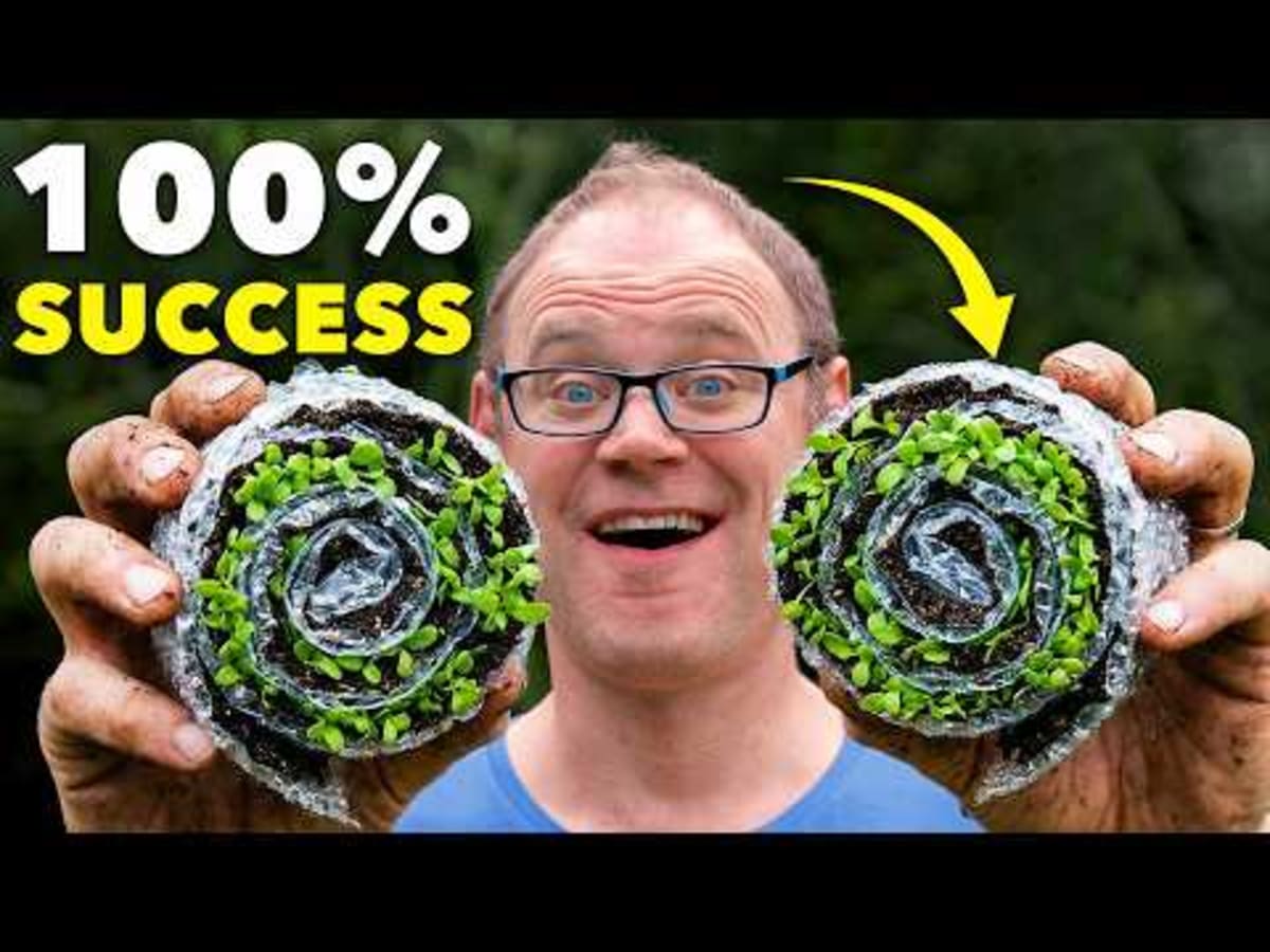 Gardener's 'Seed Snail' Trick Doubles Seedling Space - Image 3