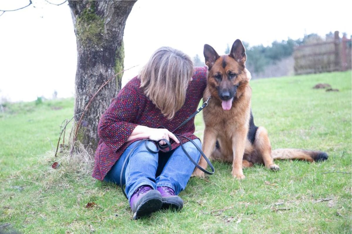 Dog Detects Owner's Lung Cancer Before Doctors Could - Image 4
