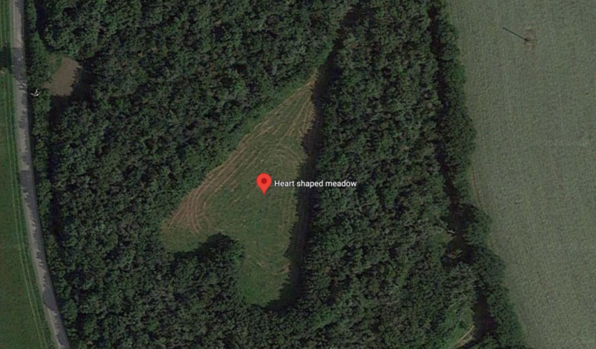 Farmer Plants 6,000 Oaks in Heart Shape for Late Wife - Image 4