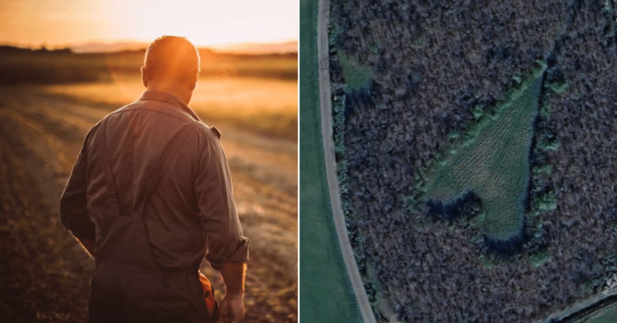 Farmer Plants 6,000 Oaks in Heart Shape for Late Wife - Image 3