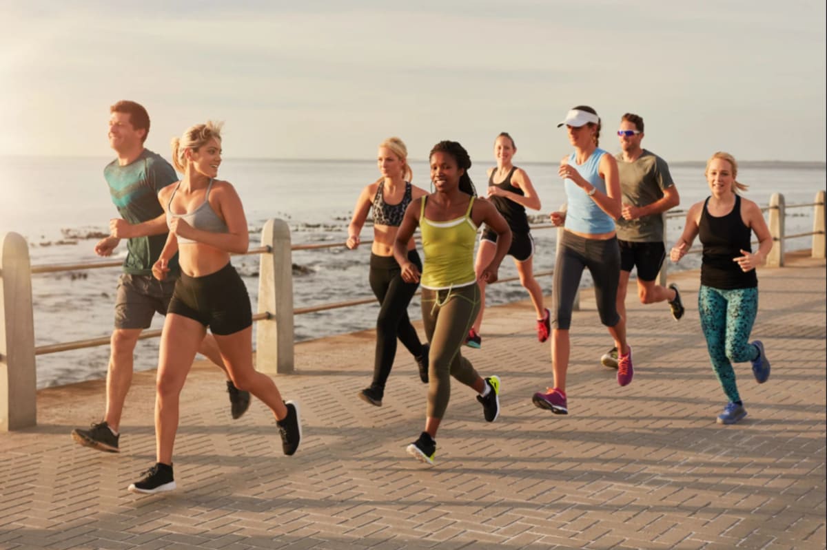 MIT Monk's VIBE Method Helps Adults Find Perfect Hobby - Image 4