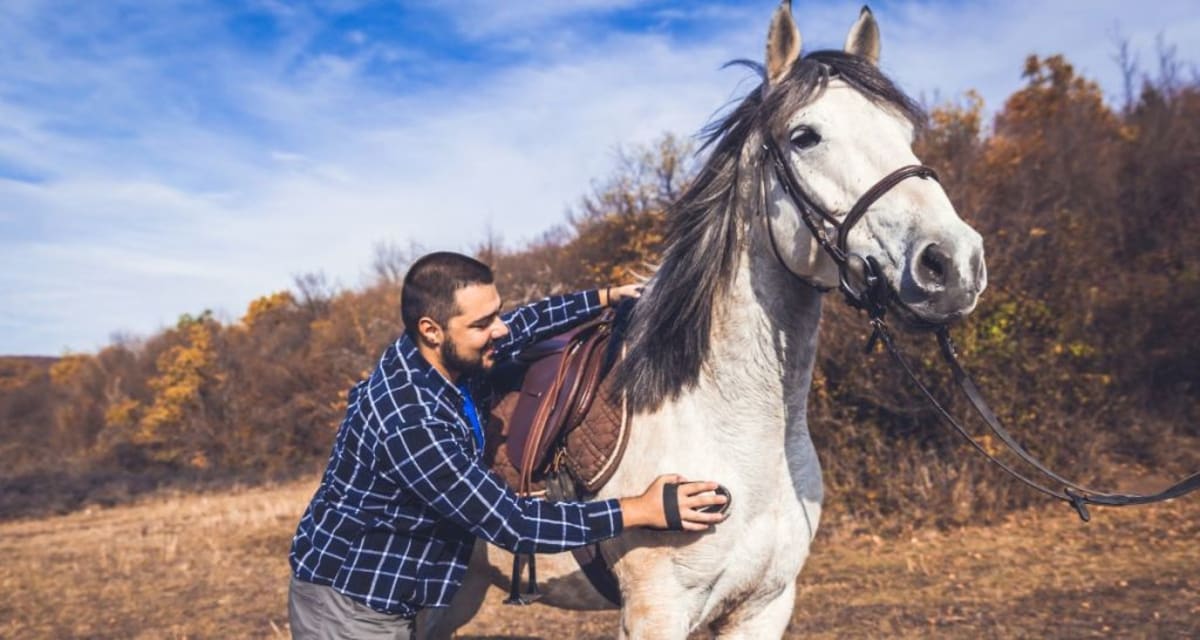 Pony Runs Free After Rescue From Painful Overgrown Hooves - Image 4