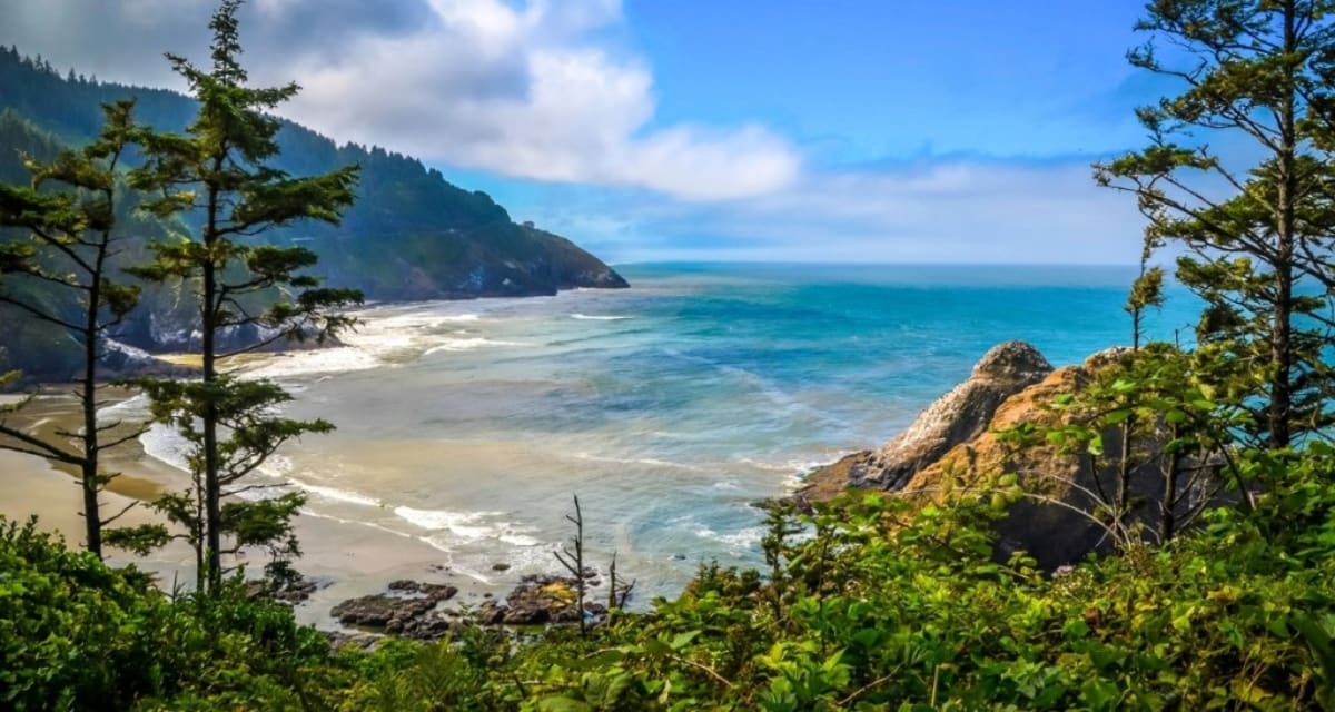 Oregon Wins Epic 49-Day Reddit Battle to Be Last US State - Image 4