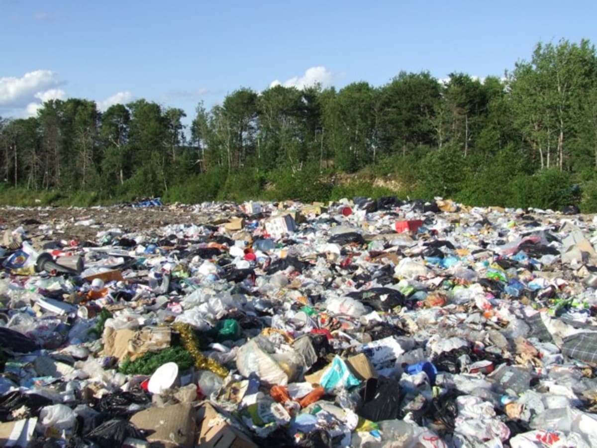 Engineer's 11M-View Video Reveals Landfill Science Genius - Image 4