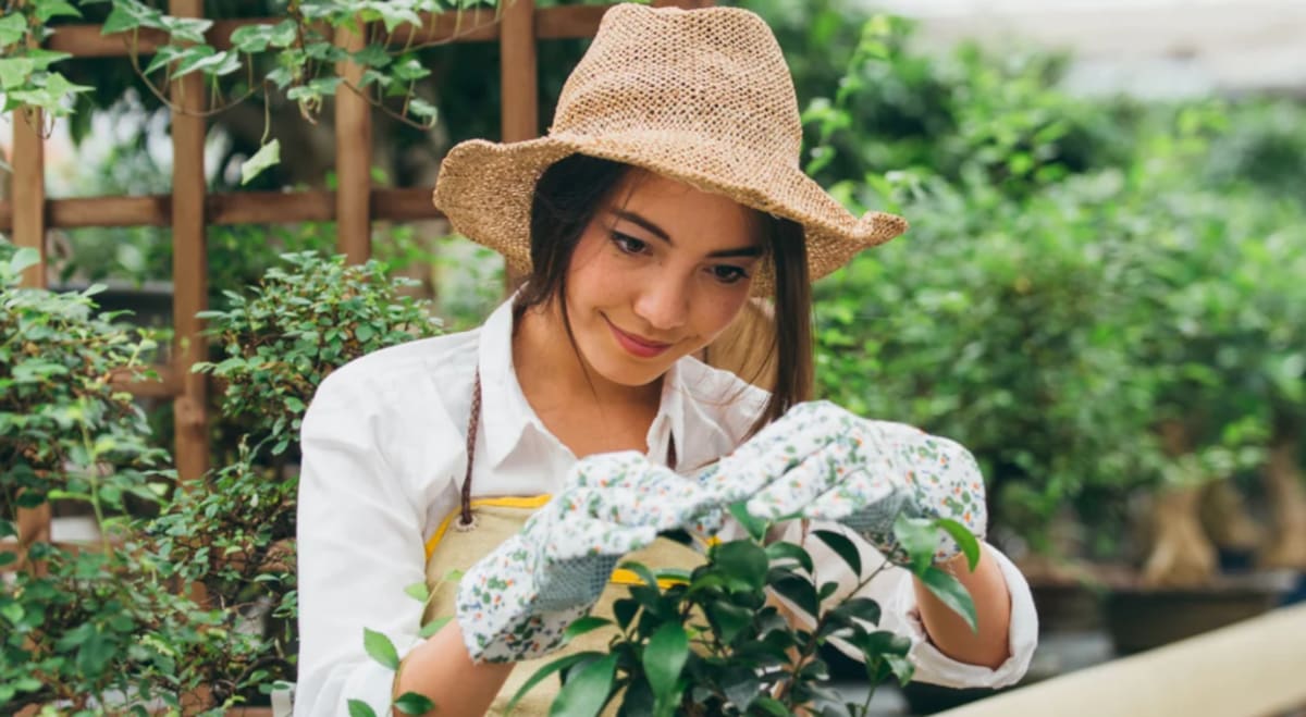 Renter Takes Garden With Her After Landlord Eviction - Image 3