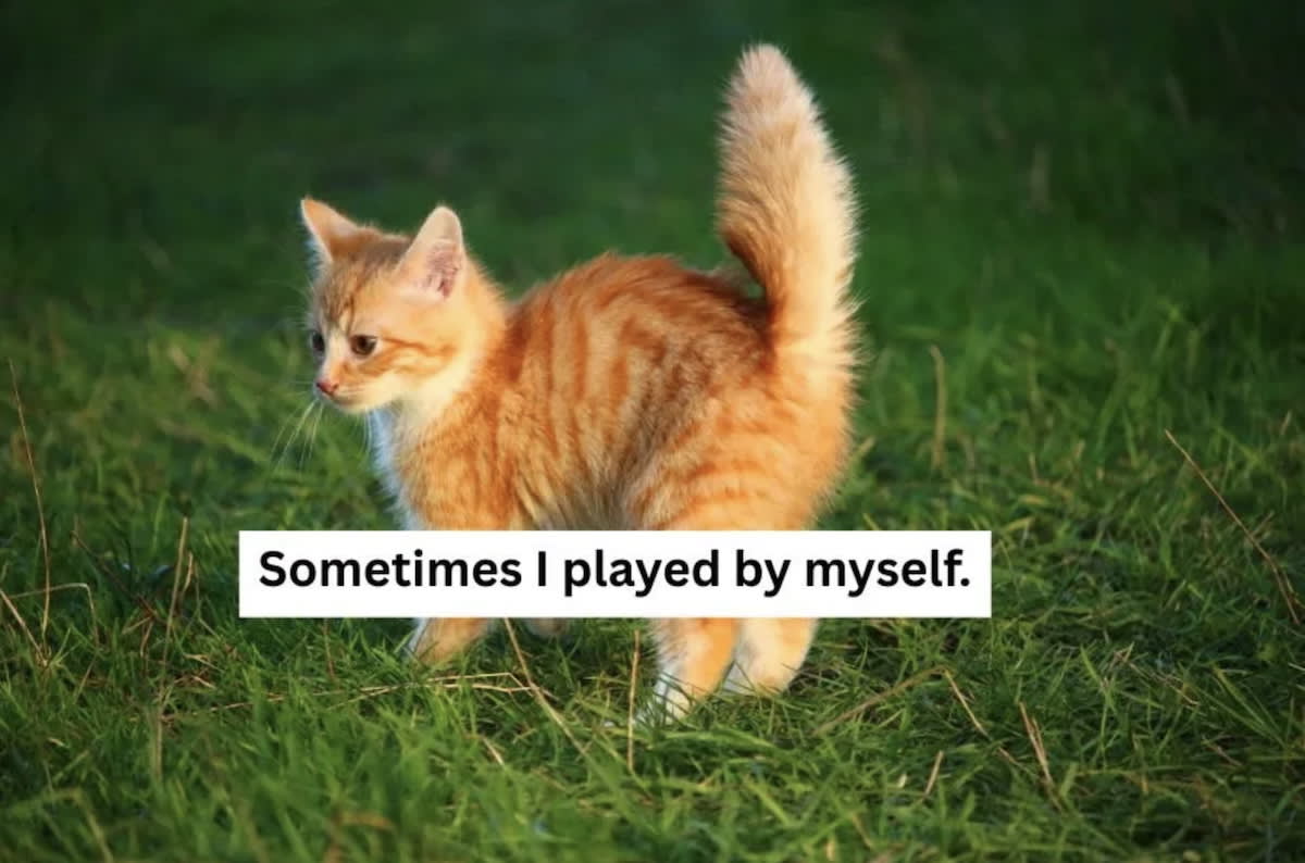 Grandma Makes Photobook for Special-Needs Kitten She Babysat