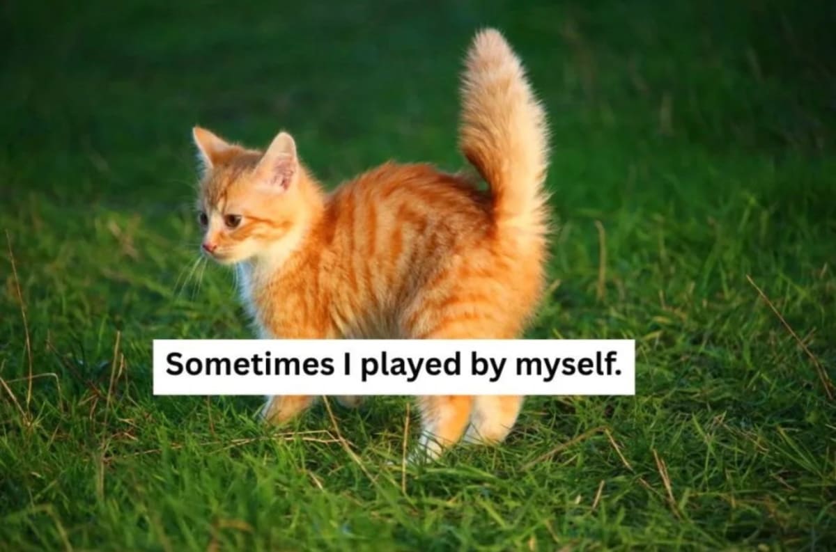 Grandma Makes Photobook for Special-Needs Kitten She Babysat - Image 3