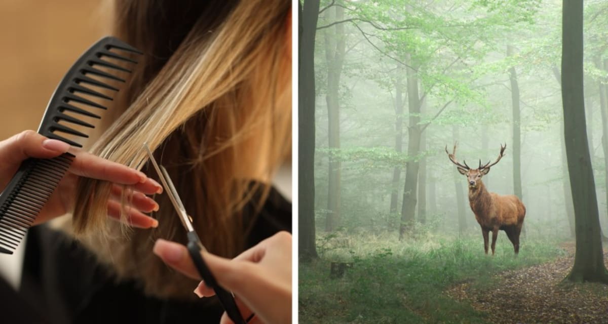 Salons Turn Hair Clippings Into Deer-Proof Tree Guards - Image 3