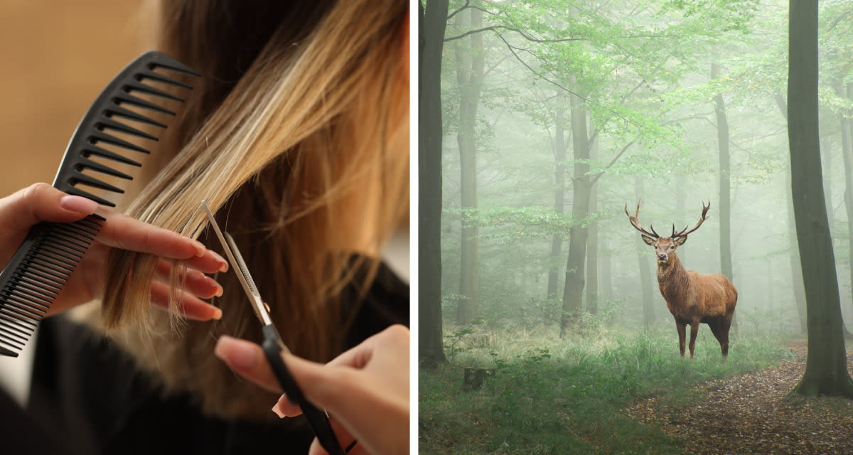 Hair Salons Help Forests Grow With Recycled Clippings - Image 3