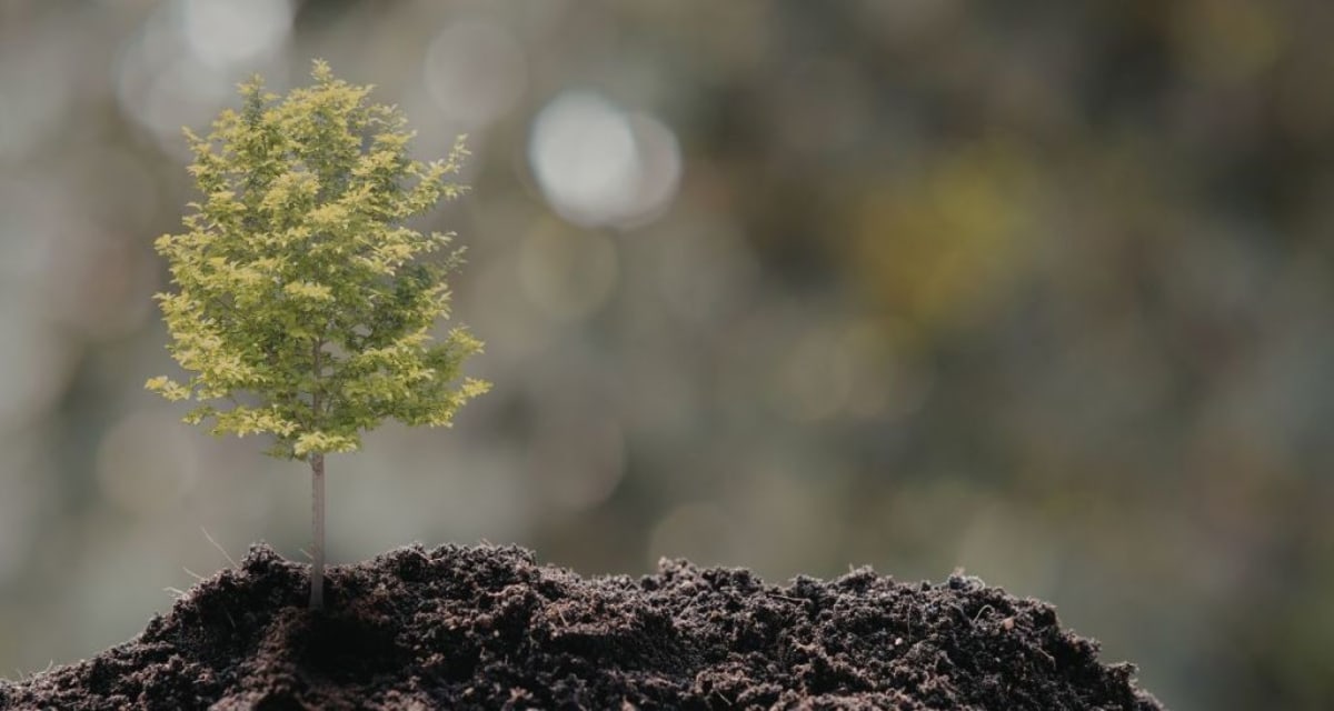 Salons Turn Hair Clippings Into Deer-Proof Tree Guards - Image 4