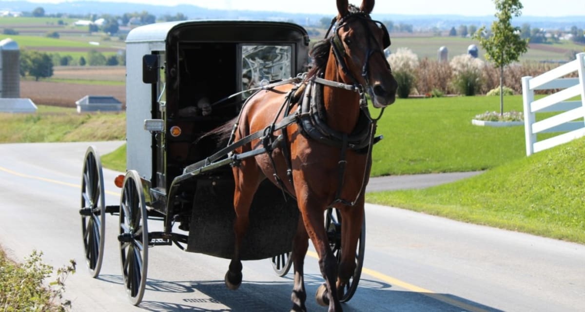 Why the Amish Reject Phones: It's About Community, Not Tech - Image 5