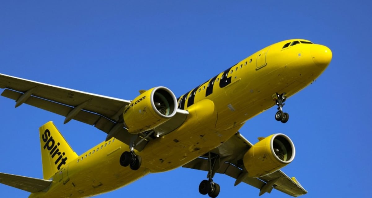 Aviation Fan Raises $437M to Buy Spirit Airlines - Image 4