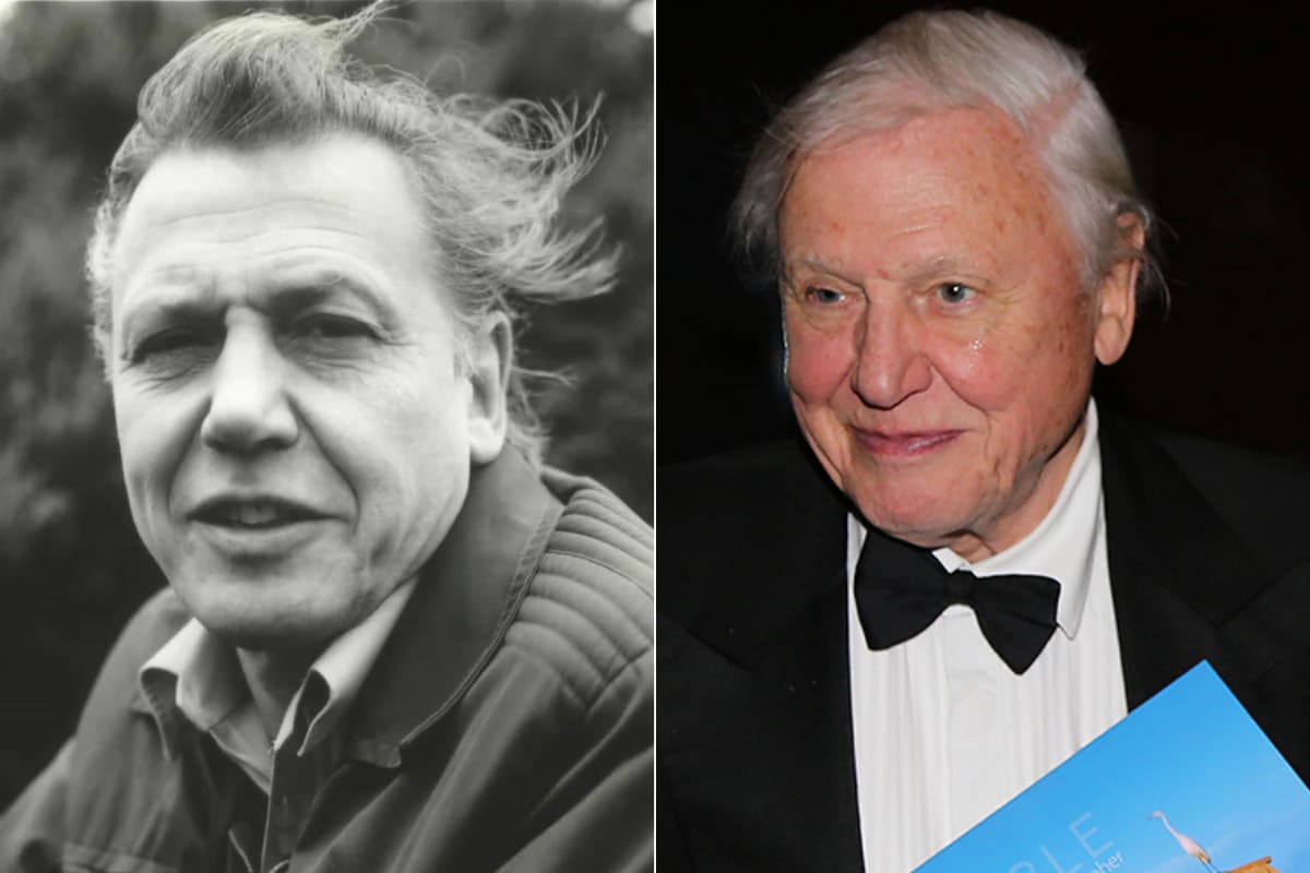 Sir David Attenborough filming outdoors in natural habitat with camera crew behind him