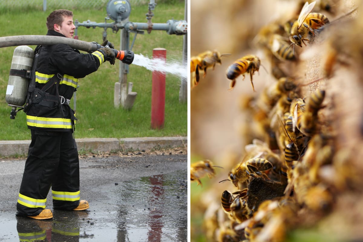 Firefighters spraying water on large truck trailer carrying beehives in Utah mountains