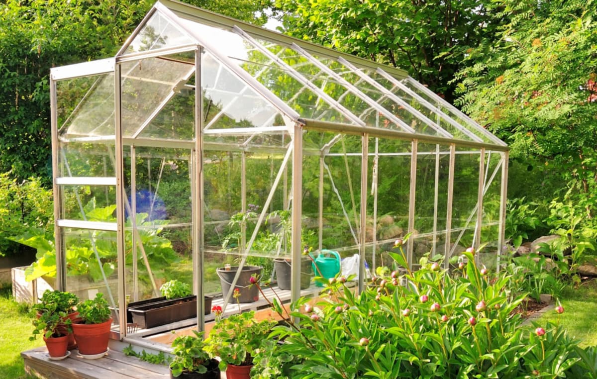 Renter Takes Garden With Her After Landlord Eviction - Image 5