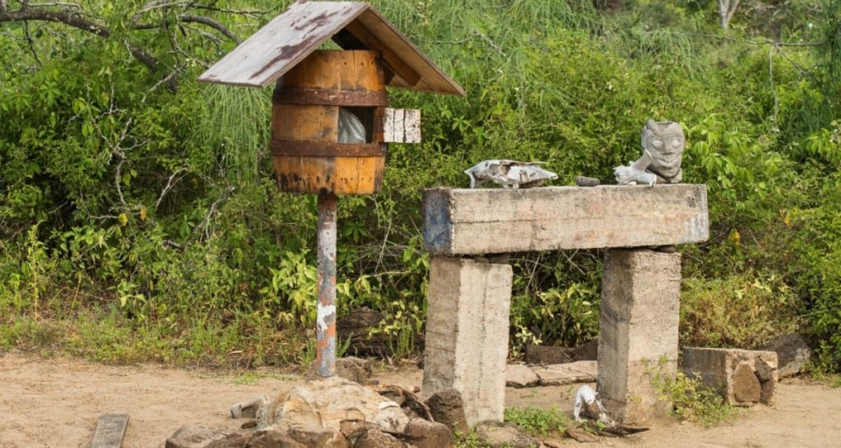 233-Year-Old Galapagos Postal Barrel Connects Strangers - Image 3
