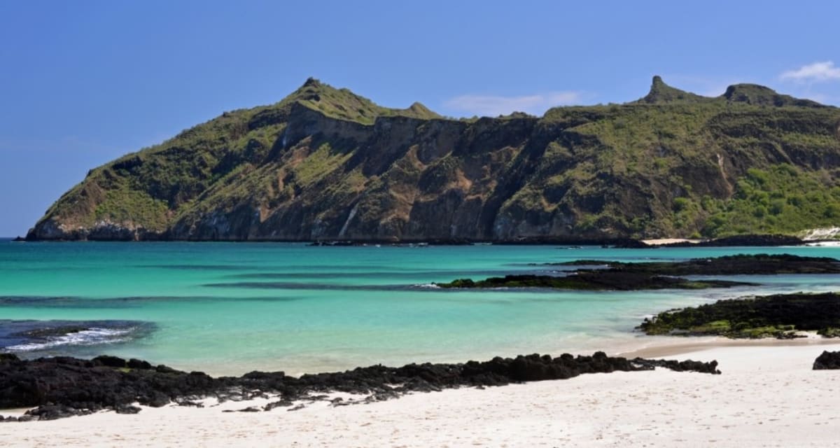 233-Year-Old Galapagos Postal Barrel Connects Strangers - Image 4