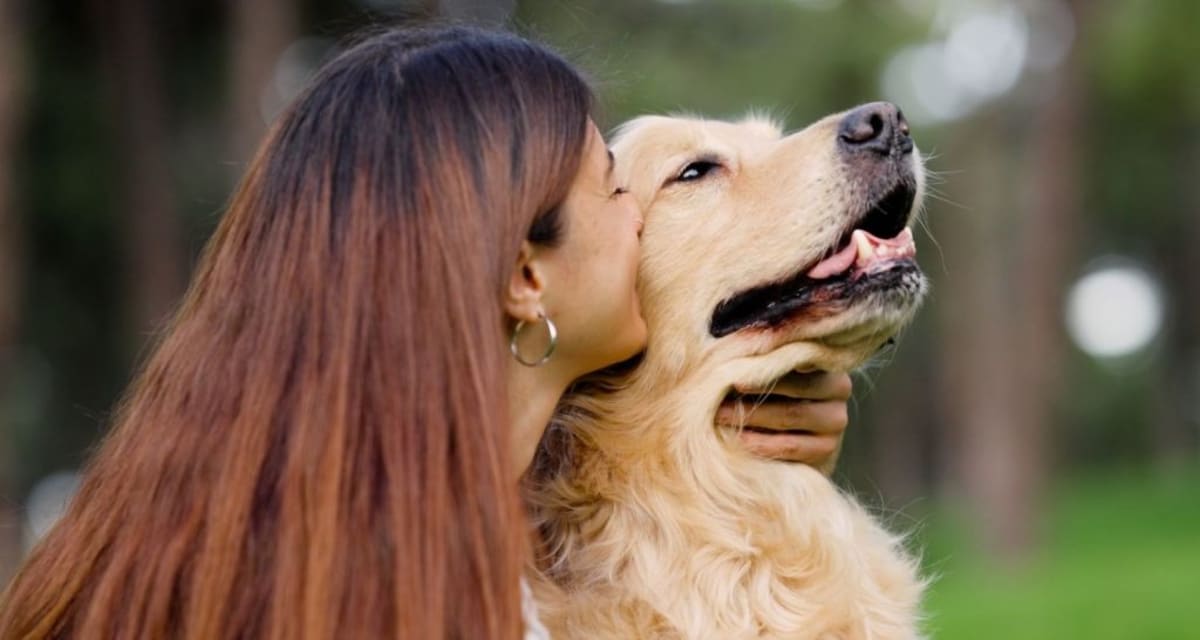 Golden Retriever's Kissing Booth Spreads Joy in Waltham - Image 5