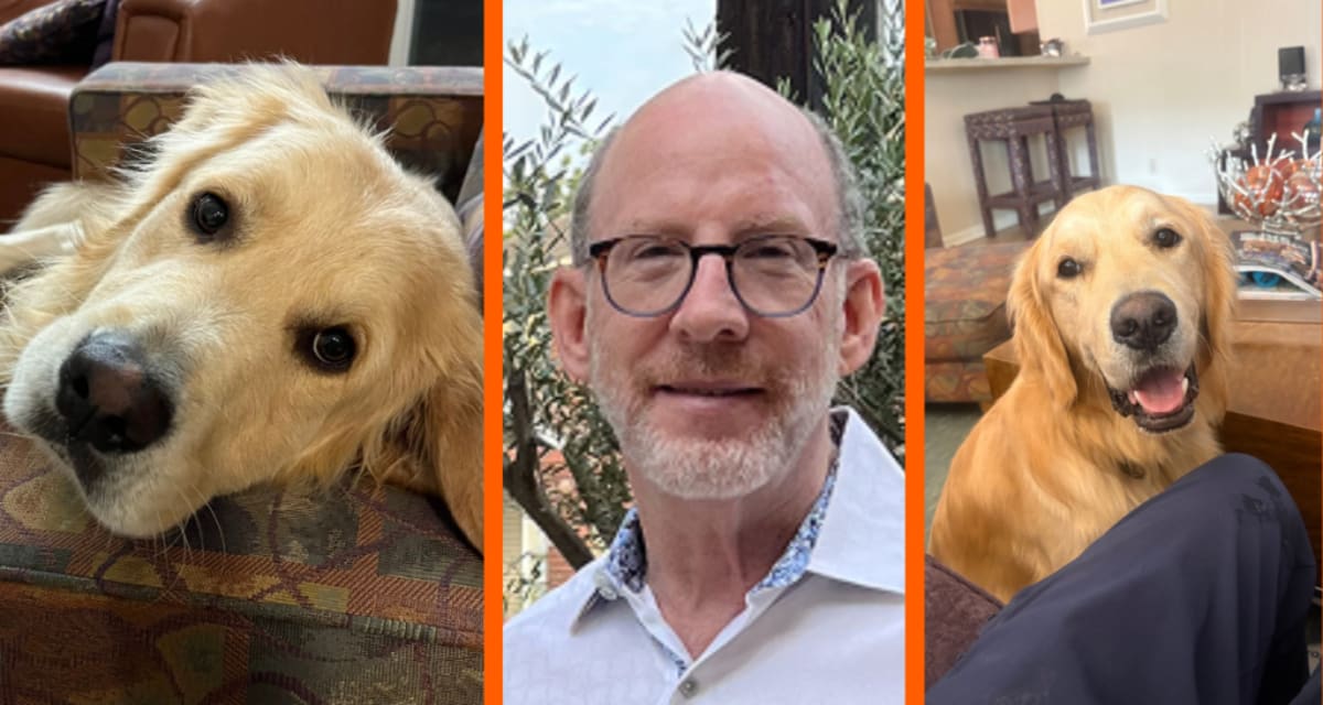 Houston Professor Fosters 7 Golden Retrievers Amid Parkinson's - Image 3