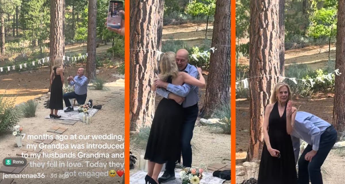 Grandparents Meet at Wedding, Get Engaged 7 Months Later - Image 3