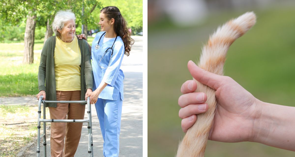 Two Calgary high school students displaying their cat-inspired wearable robotic tail device for Parkinson's patients