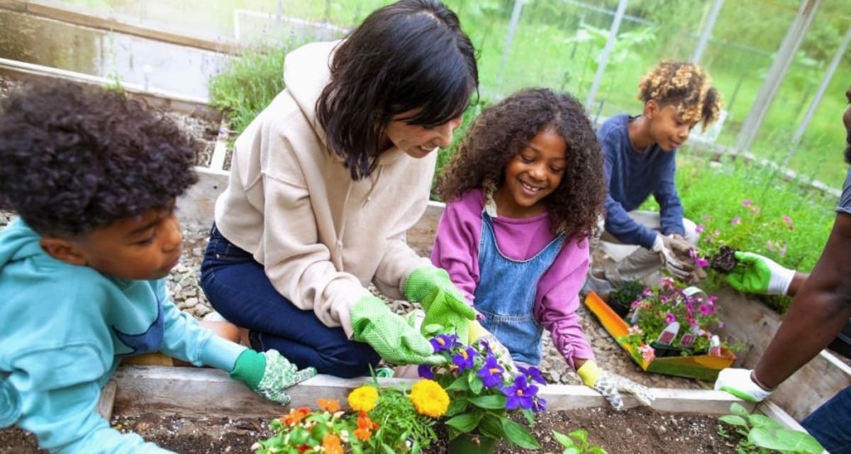 Homeless Man Becomes Master Gardener, Feeds Texas Community - Image 4