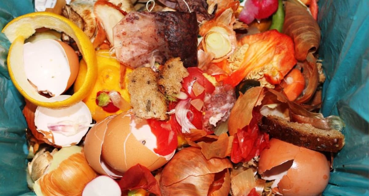 California Simplifies Food Labels to Cut Waste Starting July - Image 5