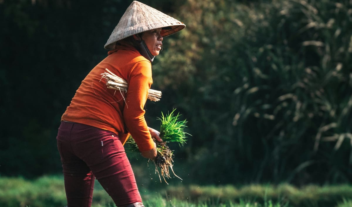 Teacher's $5K Planted 50,000 Trees in Chinese Desert