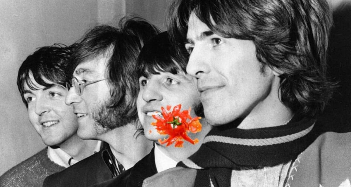 Ringo Starr's Smart Edit Made Beatles Hit Even Better - Image 4