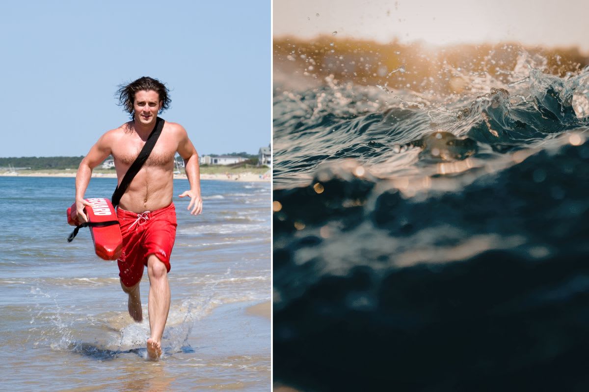 16-Year-Old Lifeguard Saves Boy From Violent California Surf - Image 3