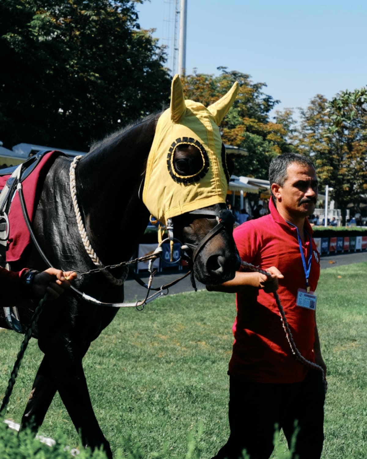 Maryland Farm Gives Horses and Incarcerated Men Second Chances - Image 4