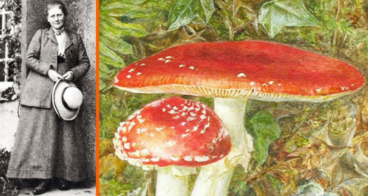 Peter Rabbit Author Was Groundbreaking Mushroom Scientist - Image 3