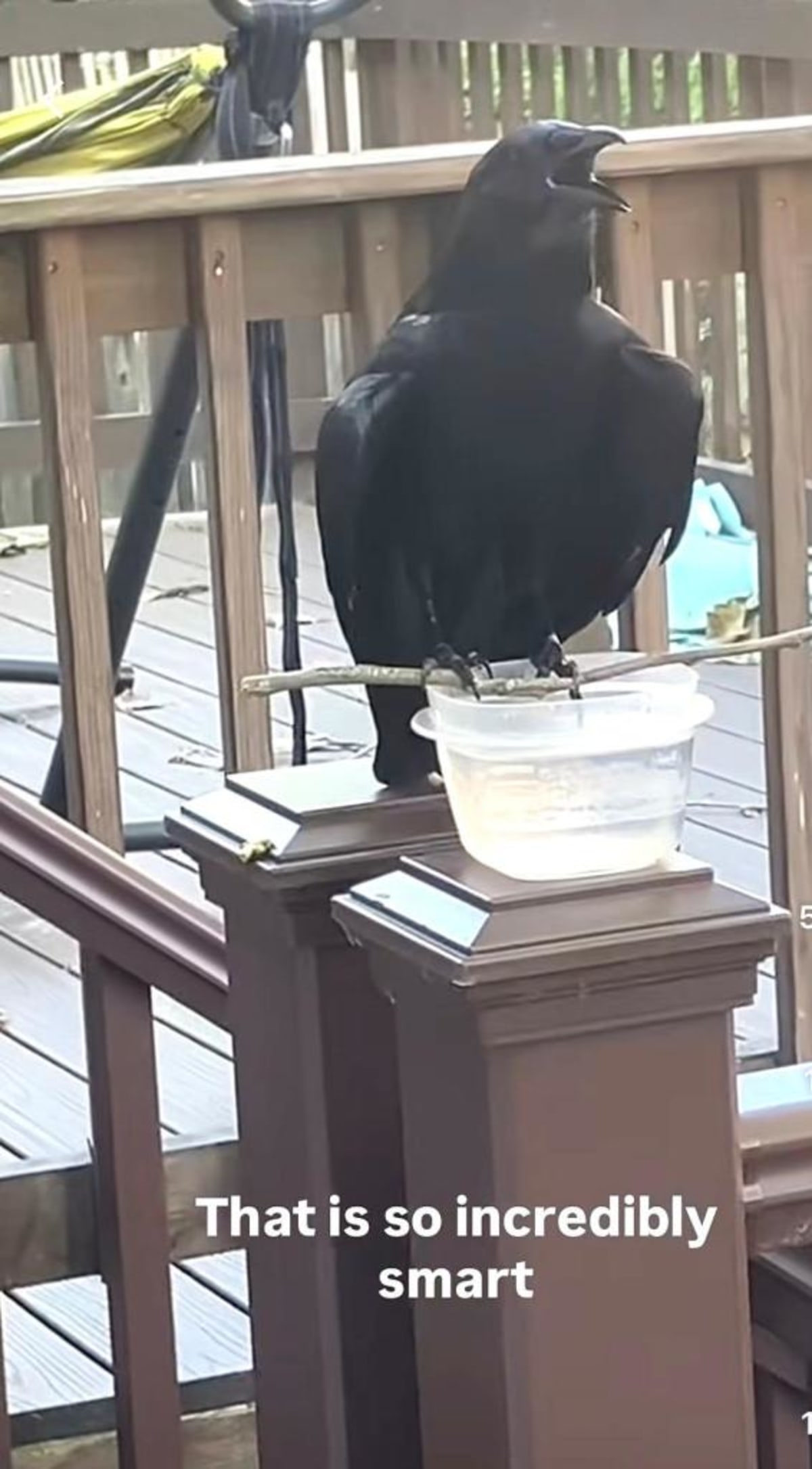 Virginia Crow Engineers Tool to Drink From Cup - Image 4