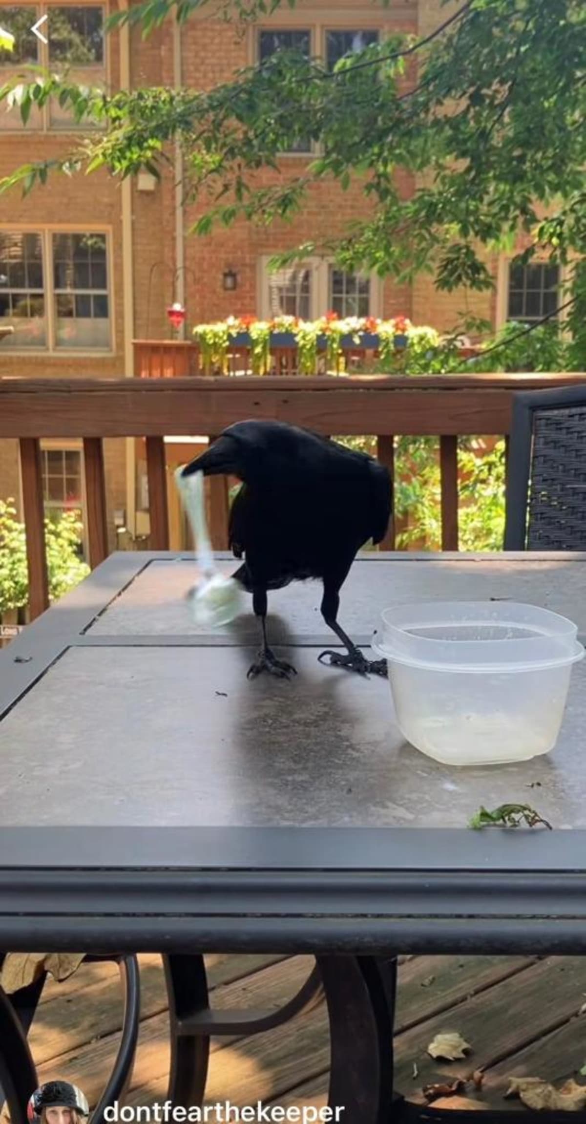 Virginia Crow Engineers Tool to Drink From Cup - Image 5