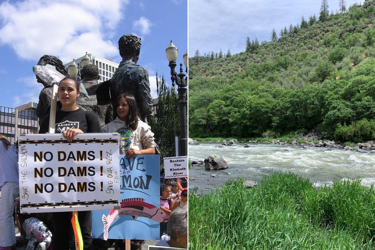 Klamath River flowing freely through forested canyon after dam removal in California and Oregon