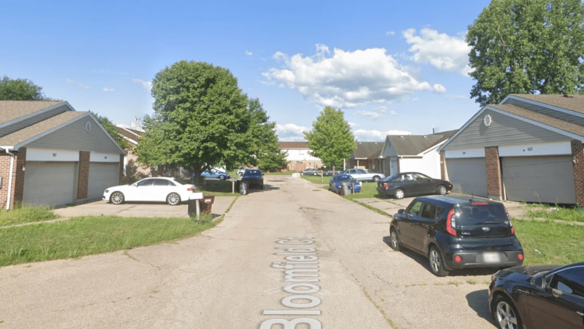 Ohio Man Bids on Vacant Lot, Accidentally Buys Entire Street - Image 5