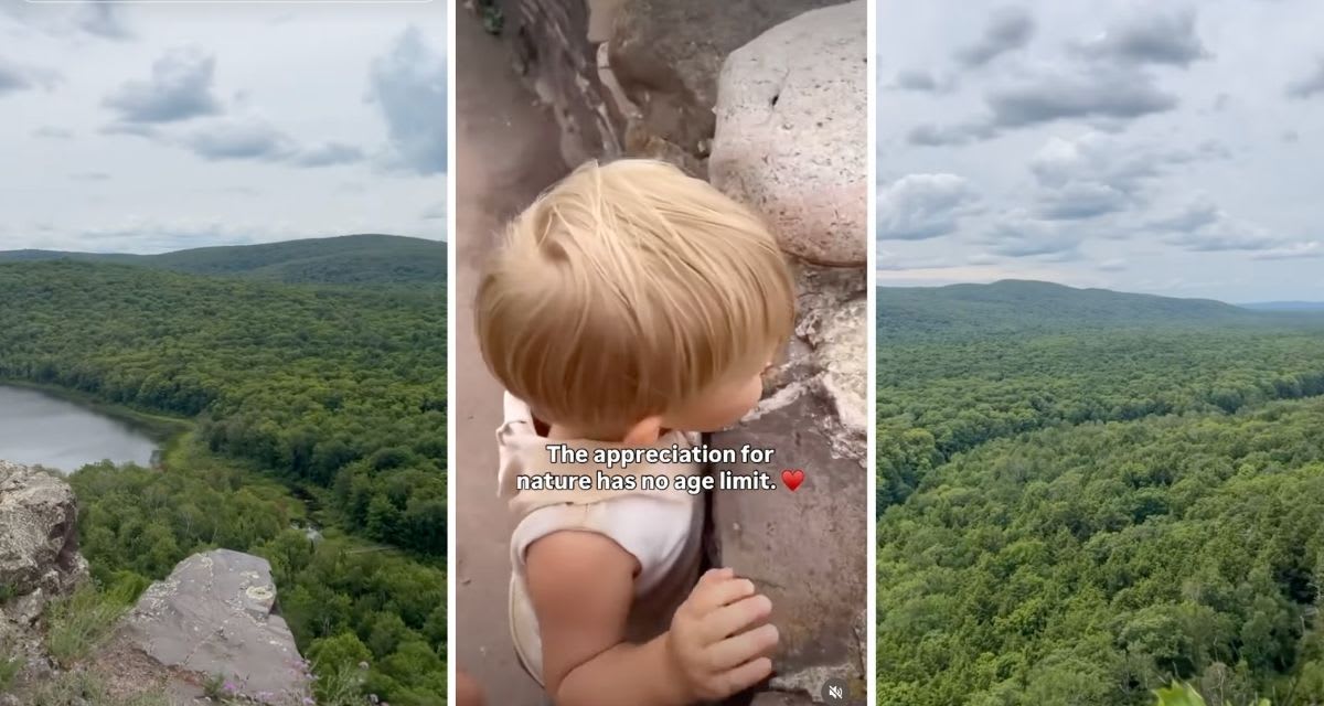 Toddler's First Mountain View Goes Viral With 5M Views - Image 3