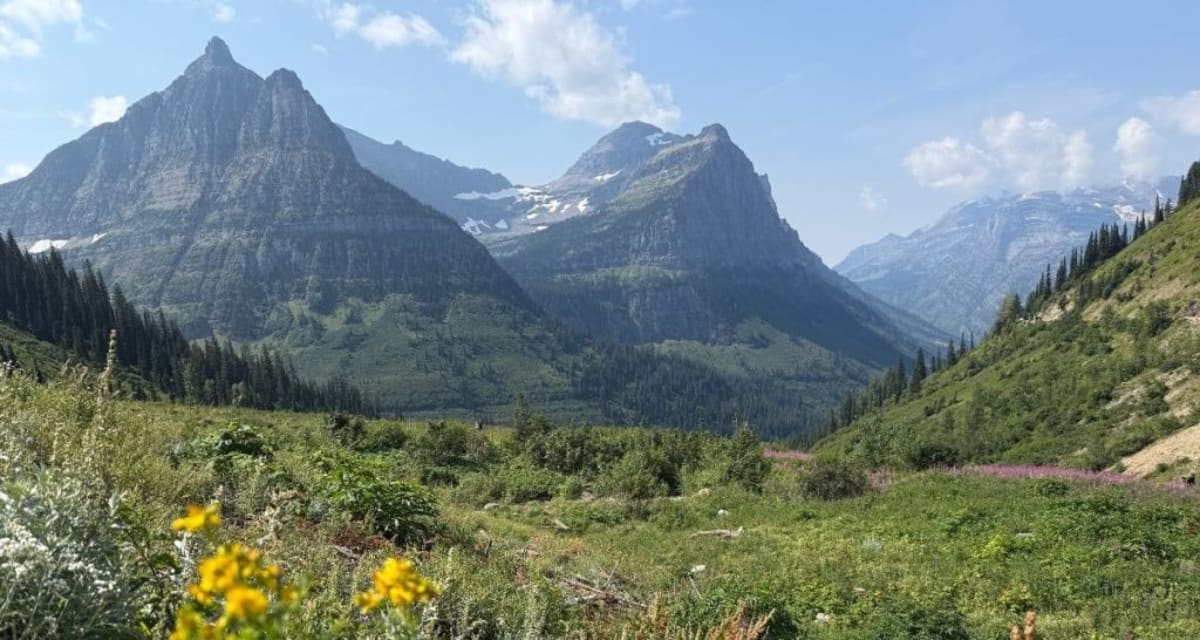 Toddler's First Mountain View Goes Viral With 5M Views - Image 5