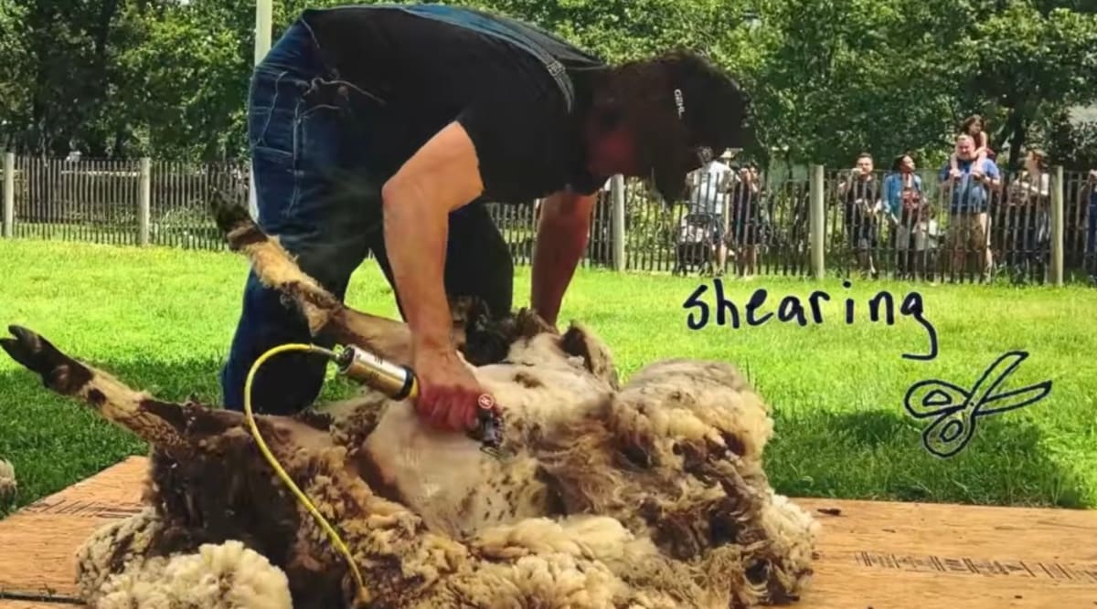 Woman Makes Sweater From Scratch in Eye-Opening 4-Month Quest - Image 4