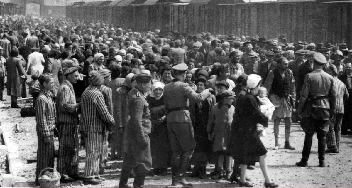 Woman Faked Pregnancy to Save Baby From Holocaust - Image 3