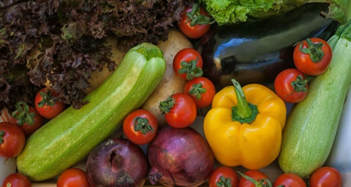 Shopper Buys 957 Seed Packs for $9, Returns with Fresh Veggies - Image 4