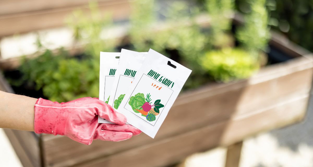 Shopper Buys 957 Seed Packs for $9, Returns with Fresh Veggies - Image 3