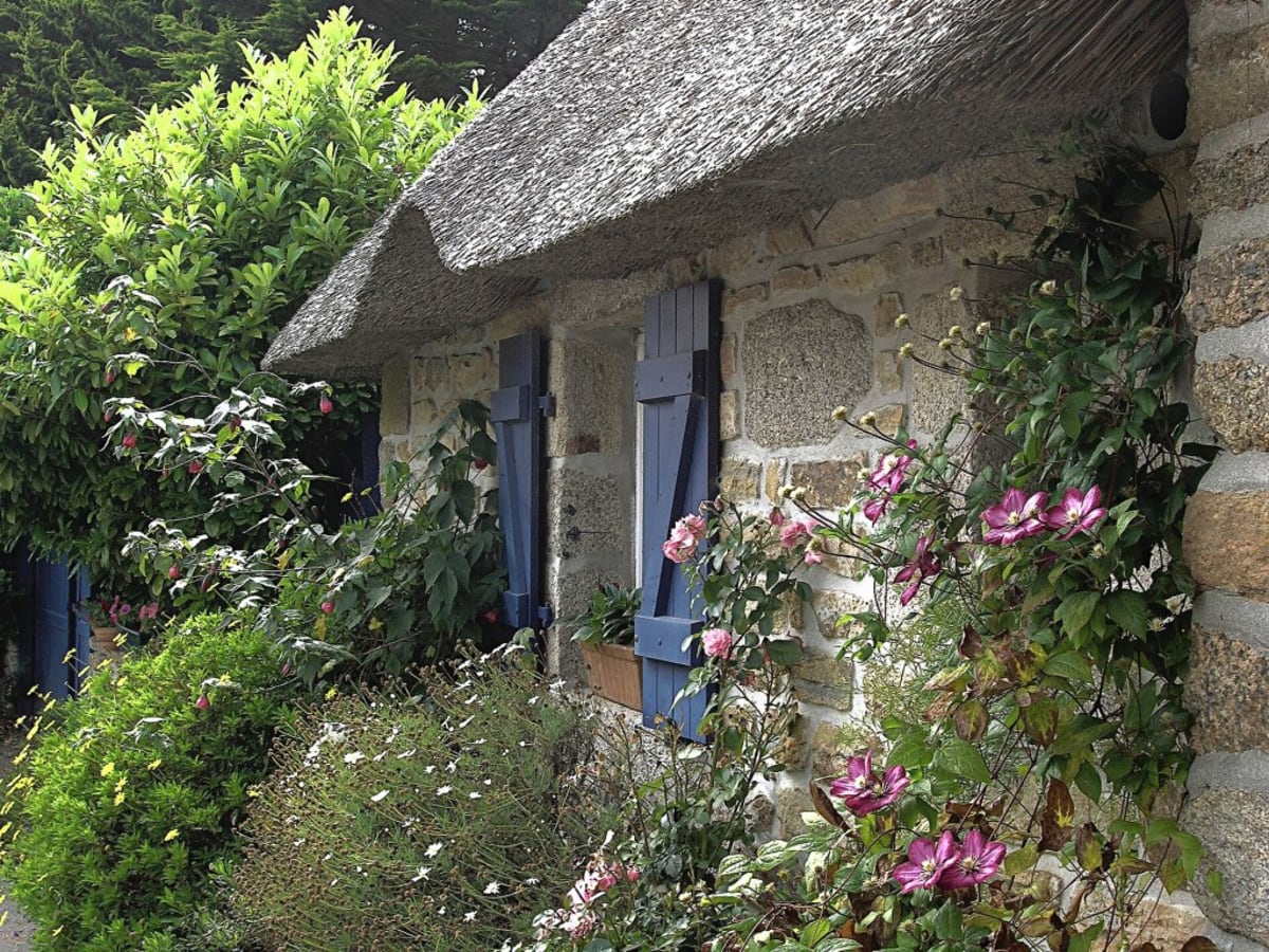English Gardener Builds Dream Cottage Garden in 5 Years - Image 5