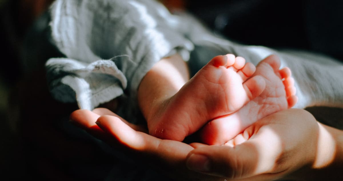 Baby Left in Shoebox at Fire Station Finds Forever Home - Image 4