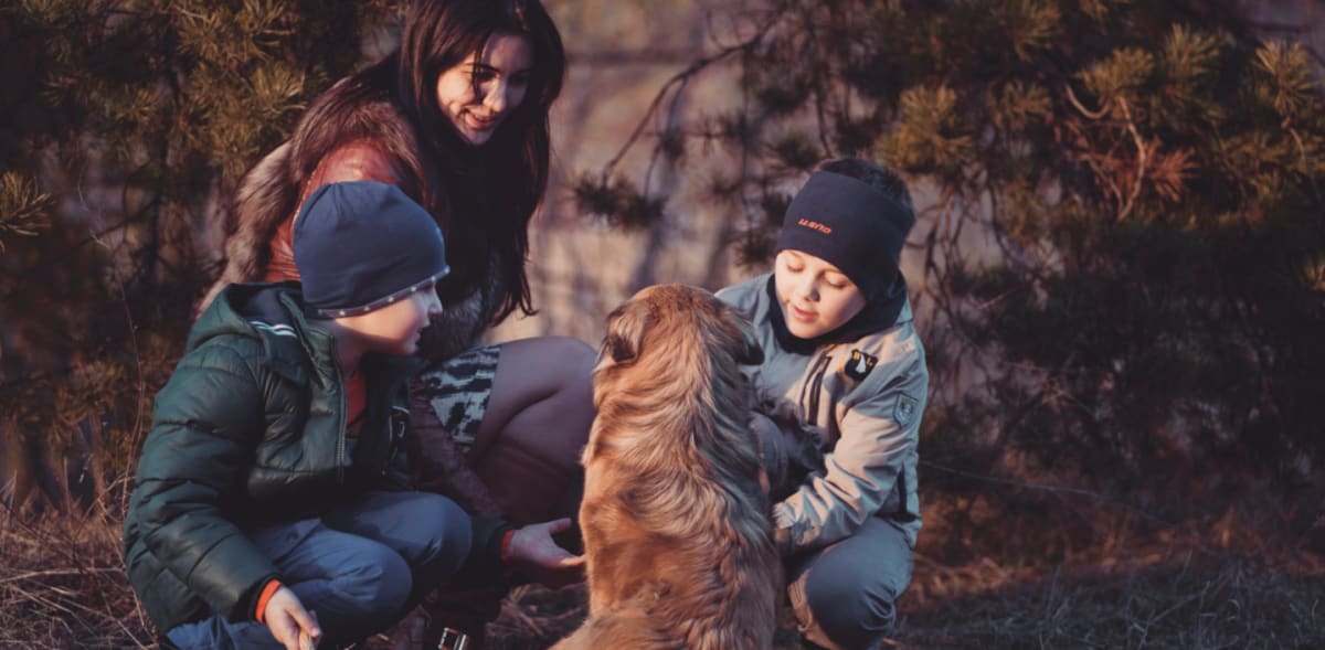Family Dog Diagnosed With Lyme Years Before 4 Sick Siblings - Image 3