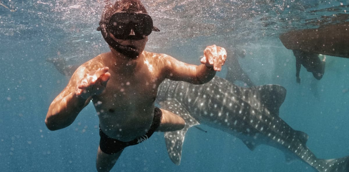 Teen Saves Brother's Life After Shark Attack in Bahamas