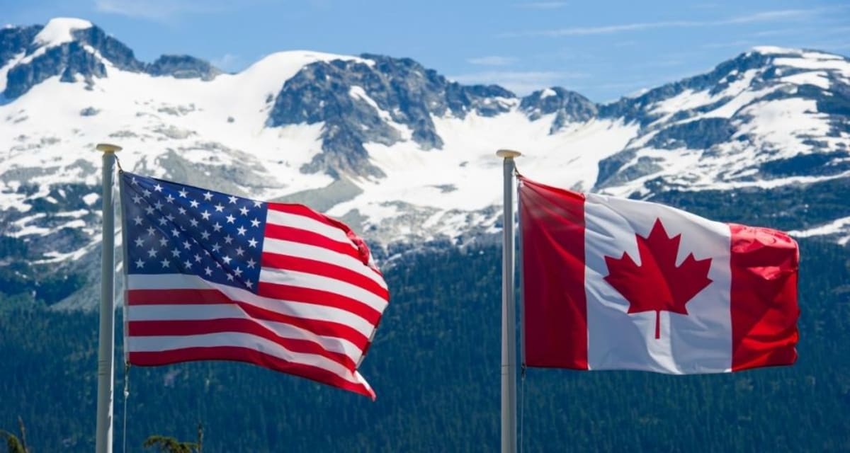 Canadian Comedian Sends Wellness Check to Americans - Image 4