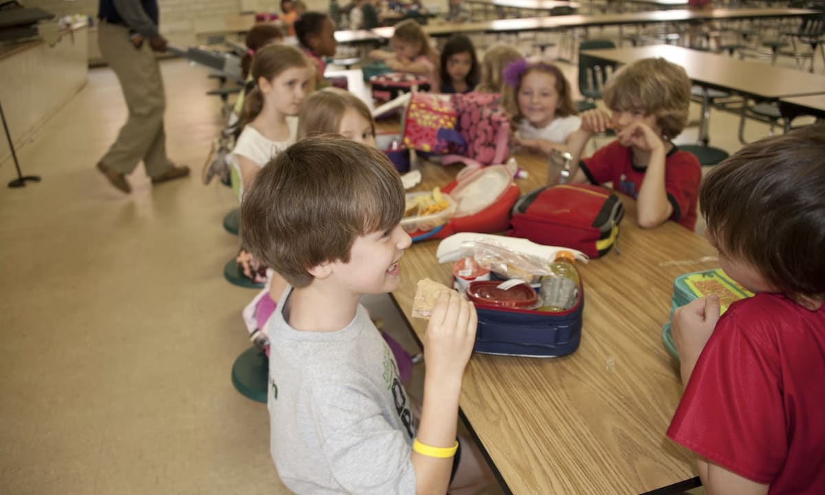Students eating lunch together in a bright, welcoming school cafeteria in France