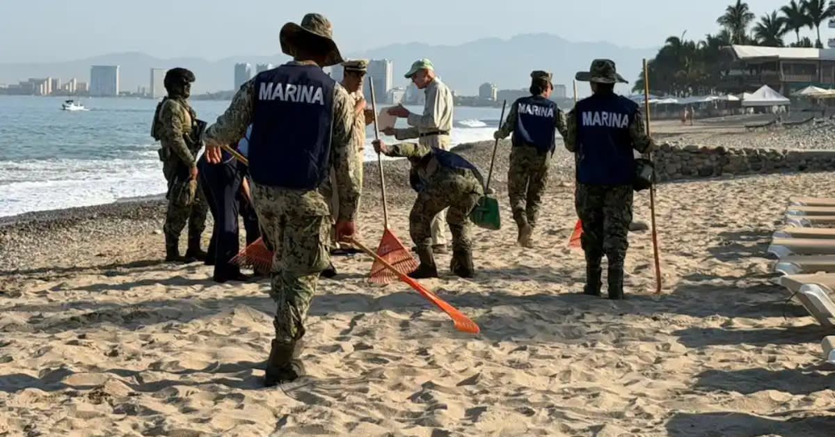 Mexico's Navy Cleans Puerto Vallarta Beach in National Push