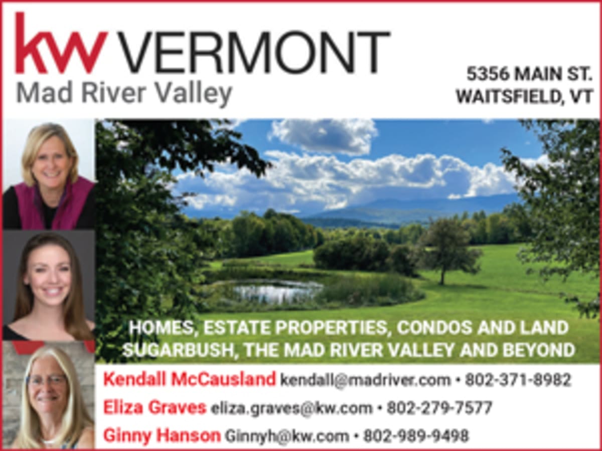 Vermont Butterfly Watchers Create Nation's 2nd Atlas - Image 2